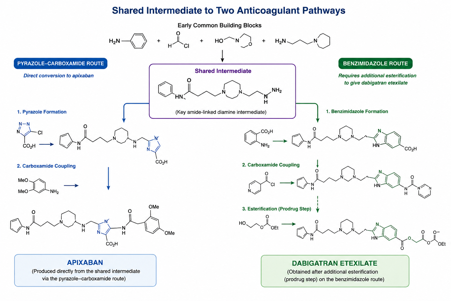 Anticoagulant Intermediate Chemistry