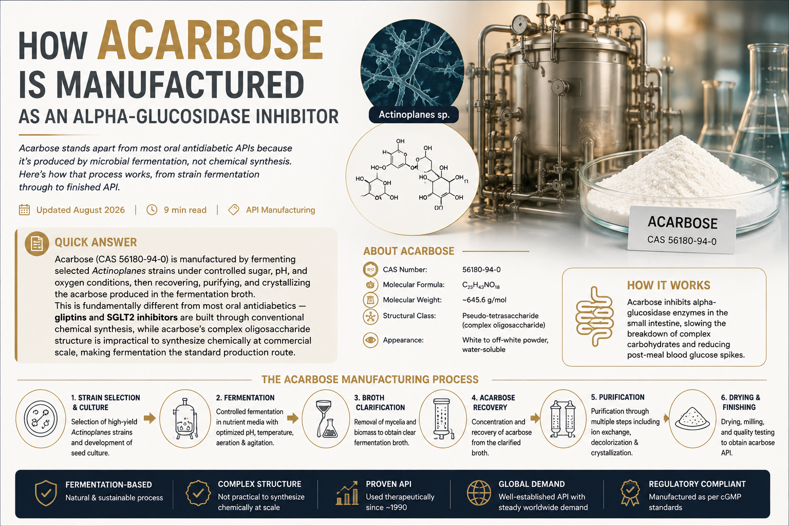 How Acarbose Is Manufactured as an Alpha-Glucosidase Inhibitor